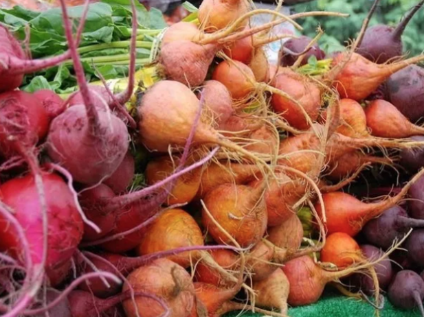 beautiful vegetables