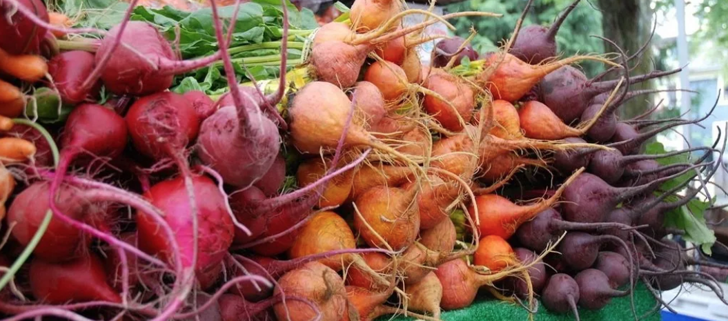 beautiful vegetables