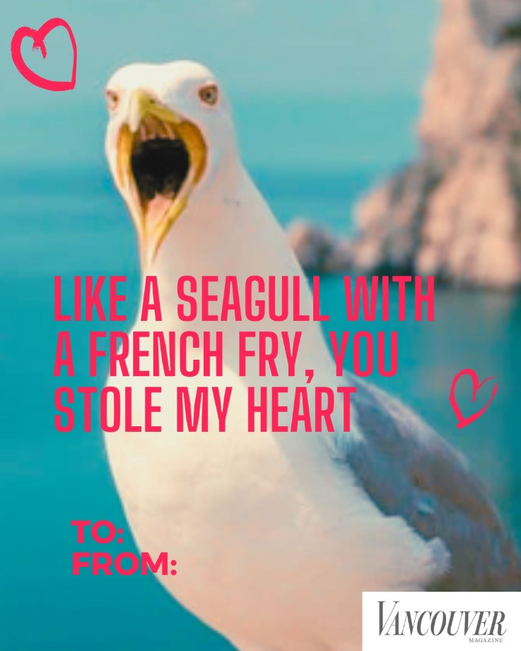 like a seagull with a french fry, you stole my heart