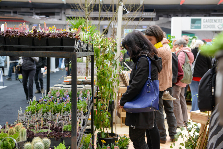Two people staring at a plants display at a convention