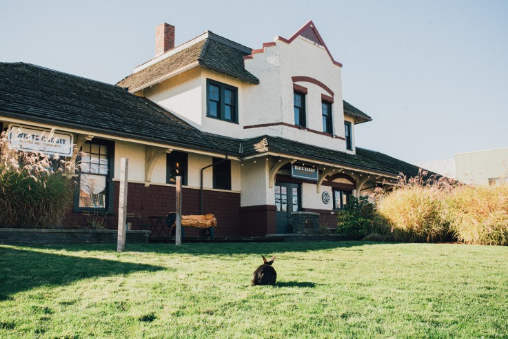 heritage house with black rabbit out front