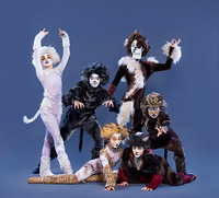 Cats Young Actors Edition cast. Photo by Emily Cooper.