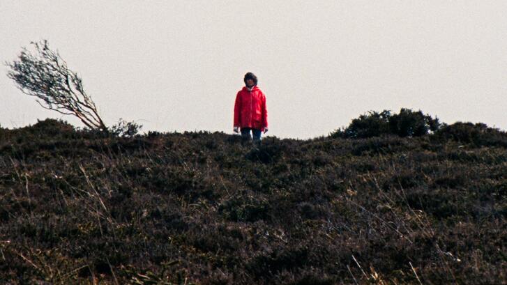 A woman stands far away on a hill in a red jacket, wide shot.