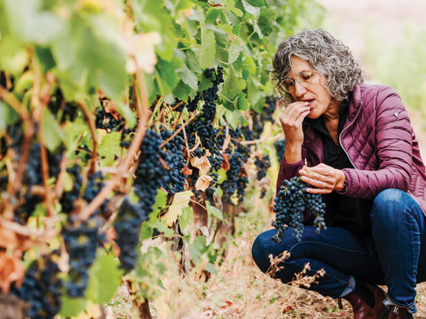 Val Tait gets a bite of the bounty at Gold Hill Winery