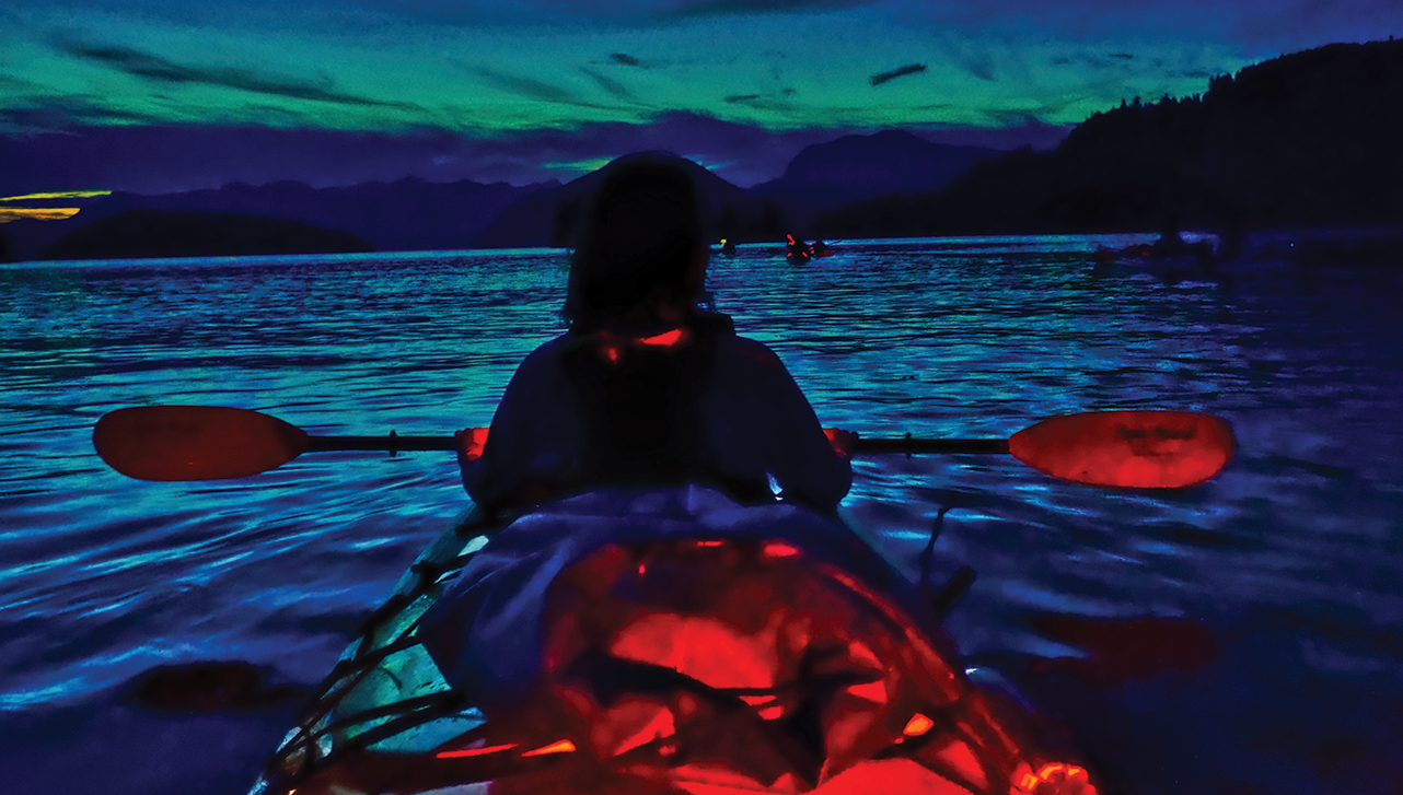 Stylized woman on a kayak from behind, on the water at night.
