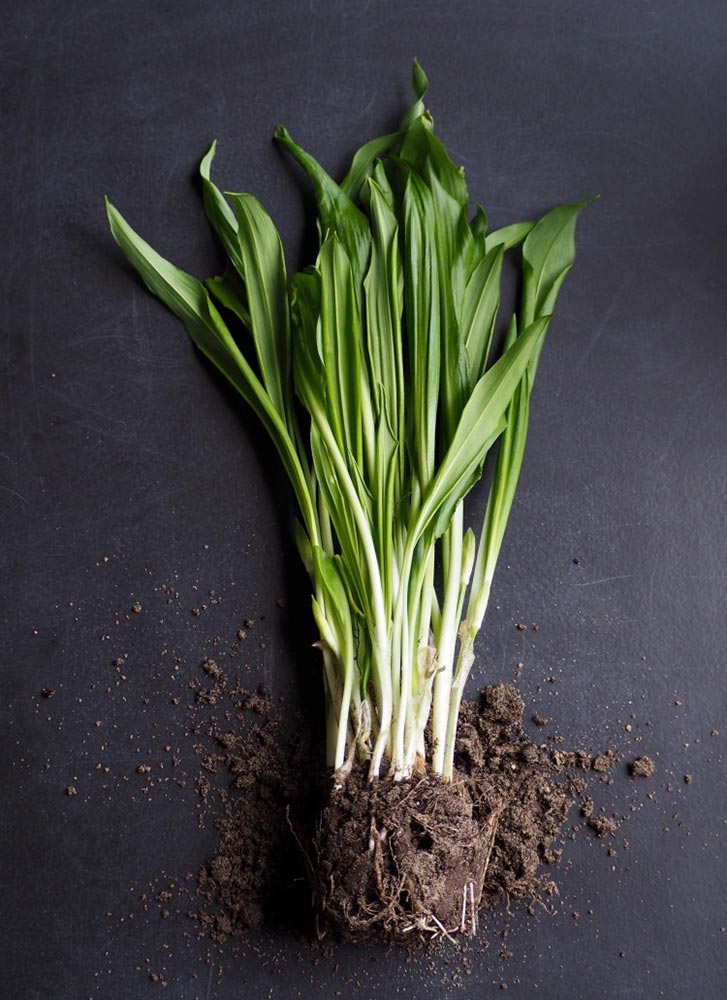 How To Prepare Spring Ingredients, According to Vancouver Chefs