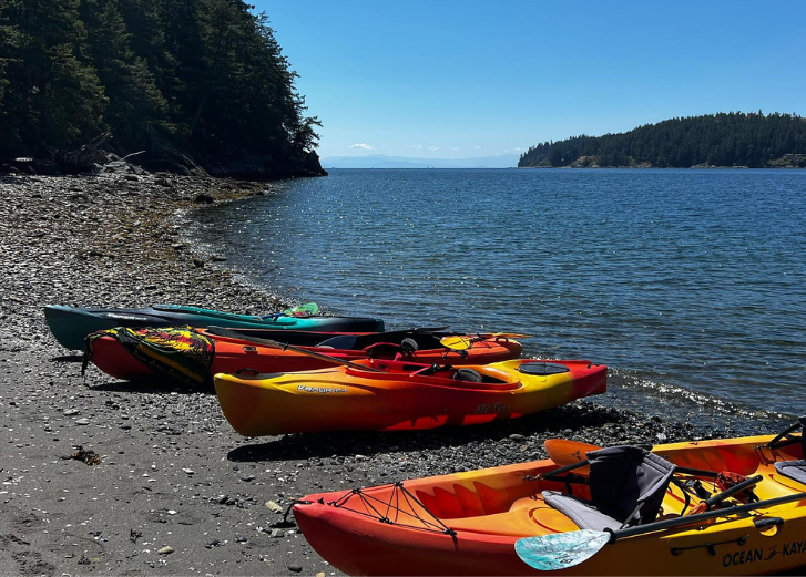 Kayaks lined up on the beach. 