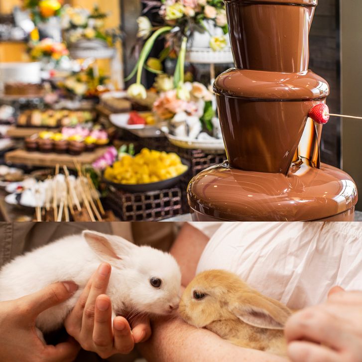 A chocolate fountain and a two people holding bunnies 