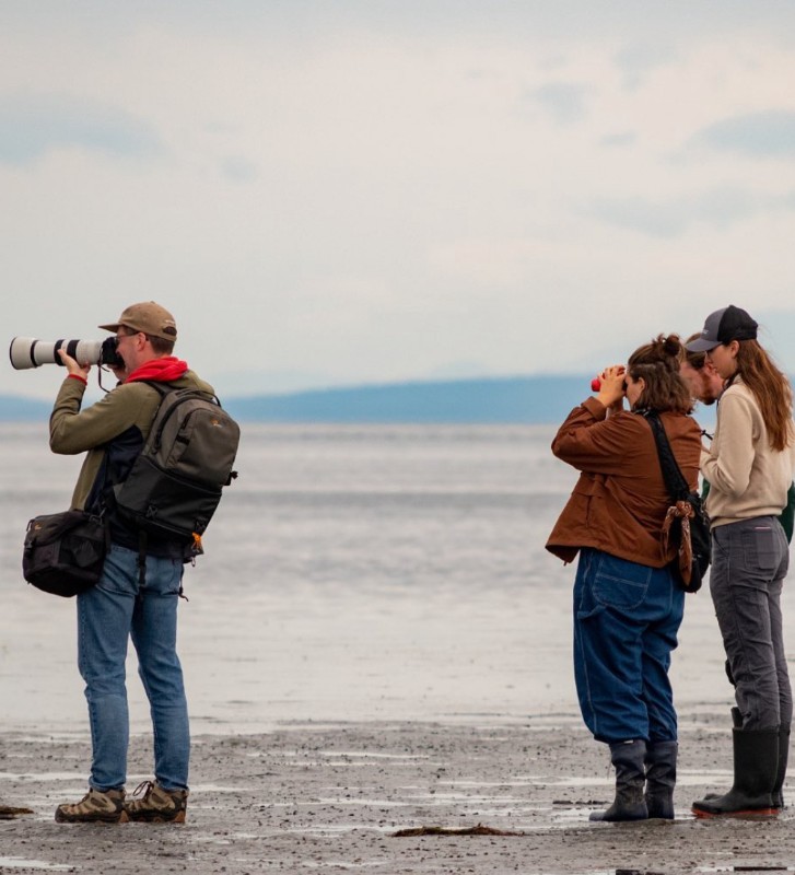 People in a marshland trying to photograph birds 