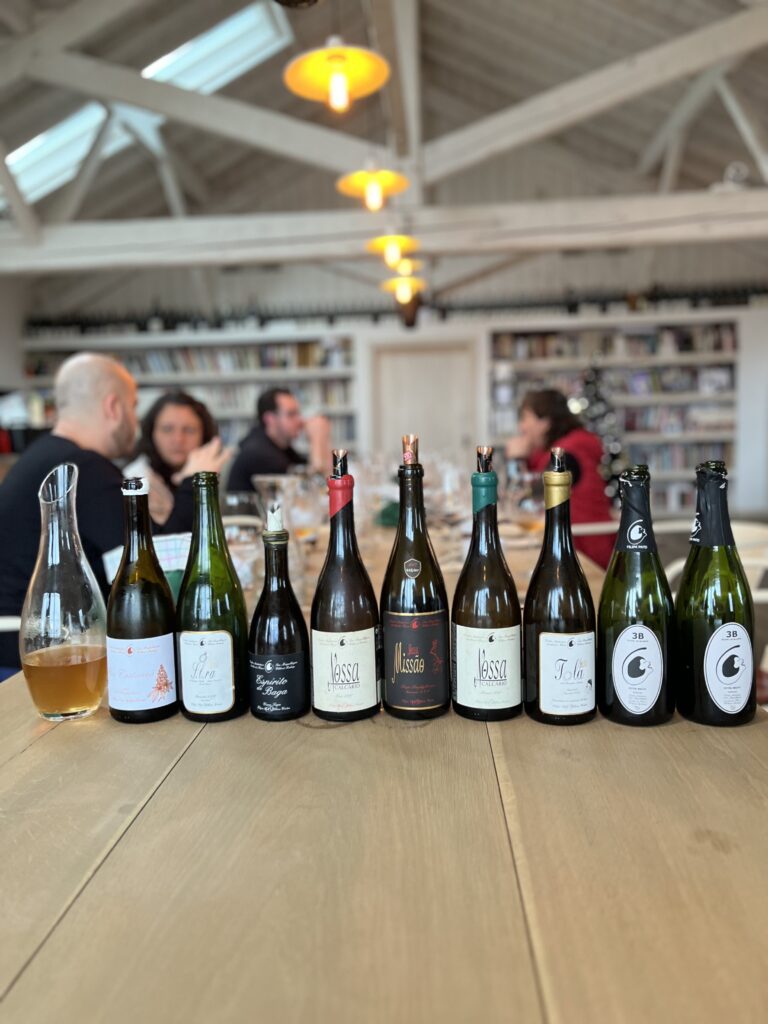 Ten bottles of wine lined up on a countertop.