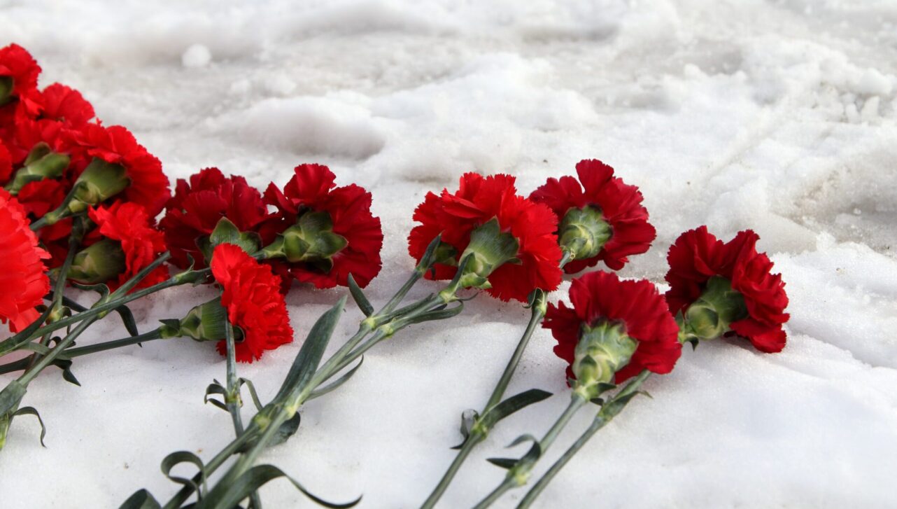 red carnations