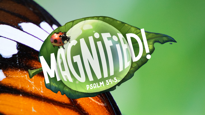 Kids Camp MAGNIFIED! | Centre Church – July 14-18