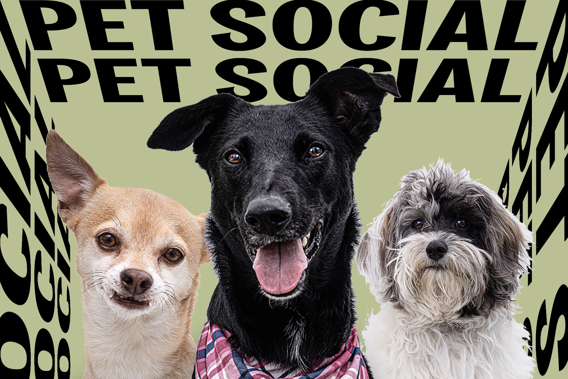 South Flats Pet Social 2025
