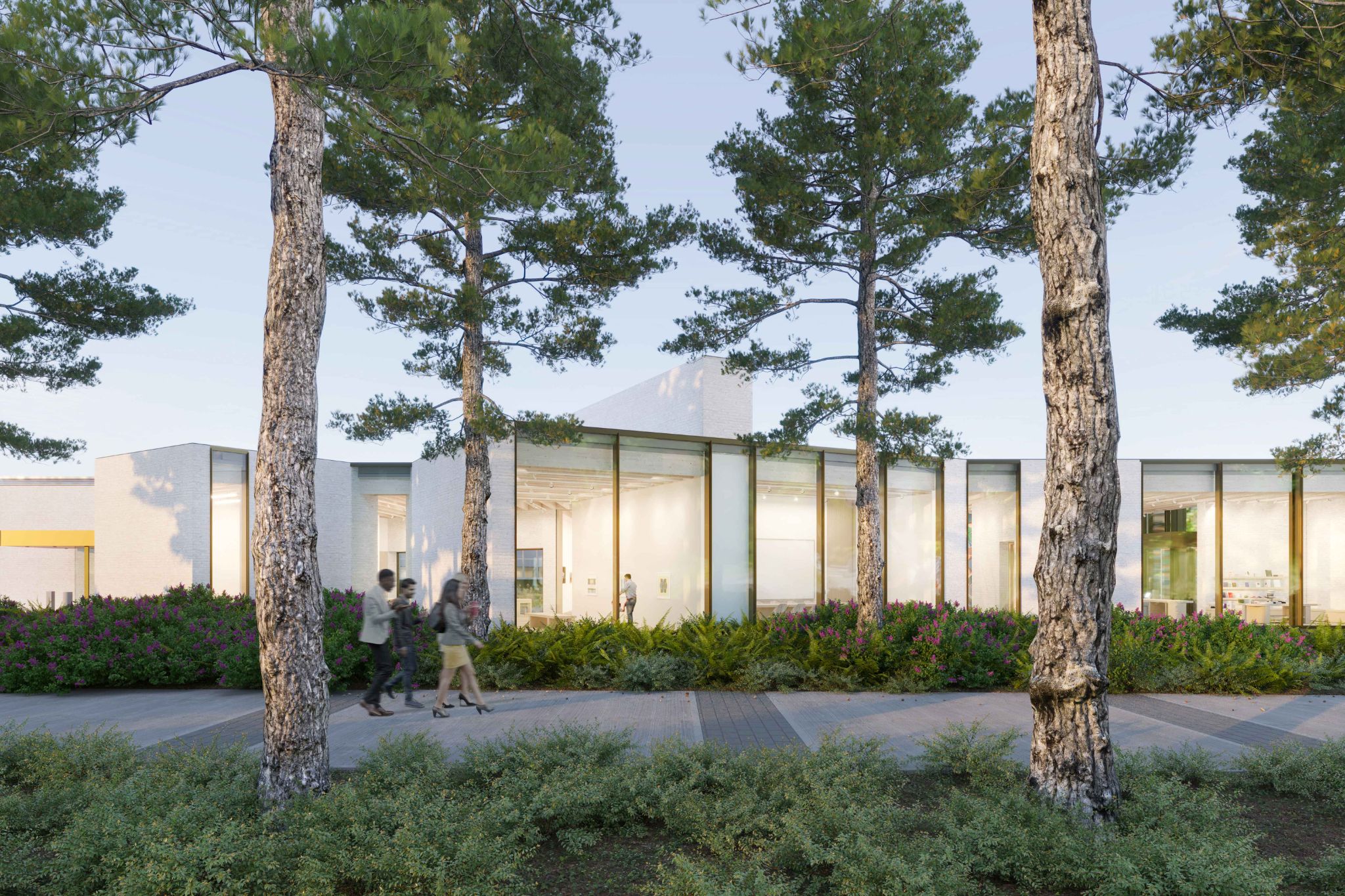 SFU’s Marianne and Edward Gibson Art Museum presents Edge Effects