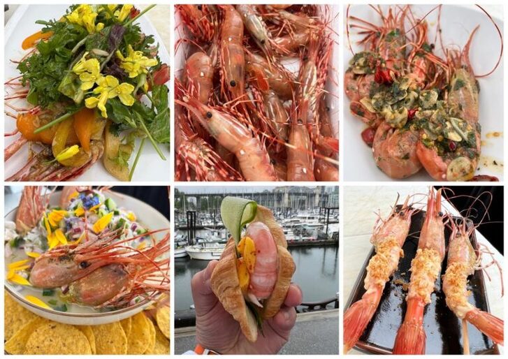 Collage of various prawn images on plates and being held
