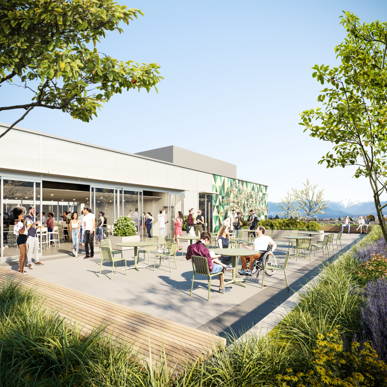 Rooftop garden at LaSalle College Vancouver