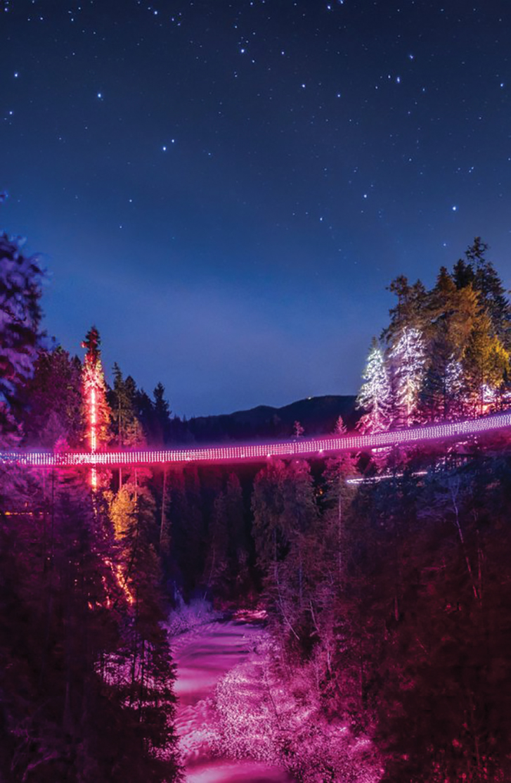 Love Lights at Capilano Suspension Bridge 
